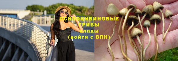 синтетический гашиш Краснотурьинск