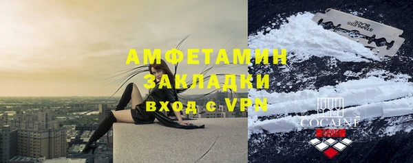 твердый Краснослободск